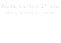 Aloxe Corton 1er cru Les grandes Lollières